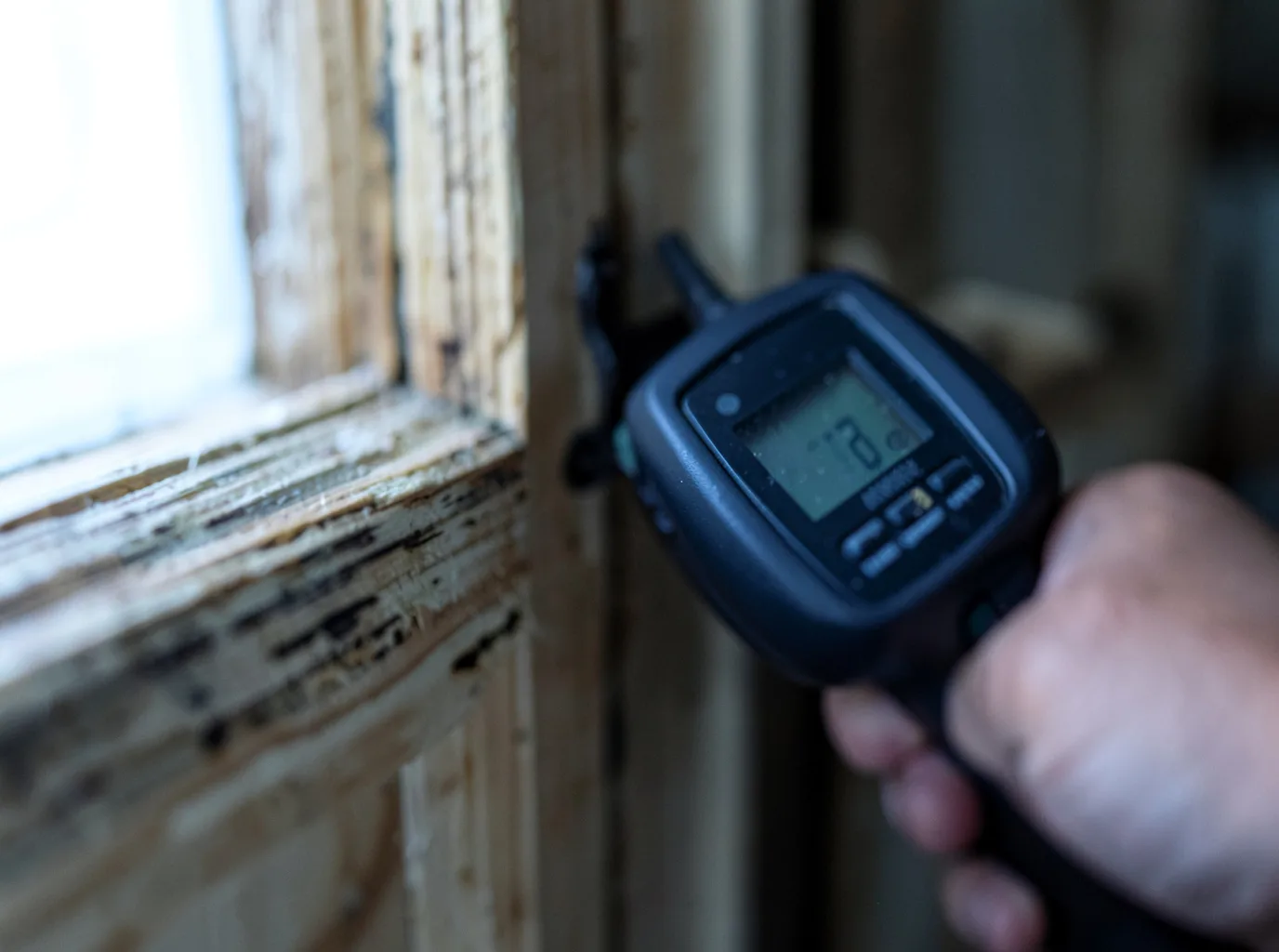 Ceiling Water Damage Repair in Sapelo Island, GA